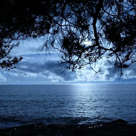Διαμέρισμα Ladanos Thassos