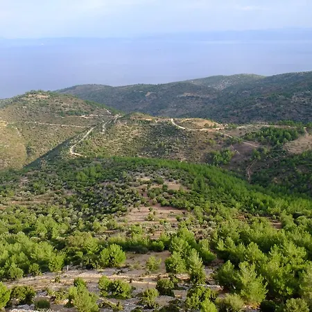 Ladanos Thassos Kallirákhi