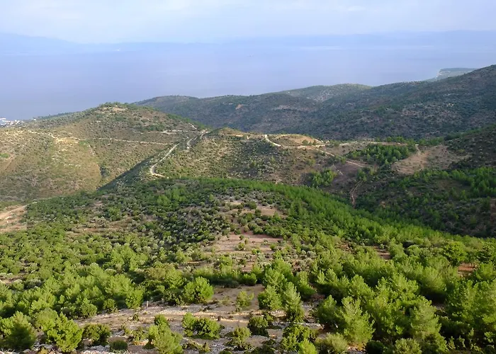 Ladanos Thassos Kallirákhi